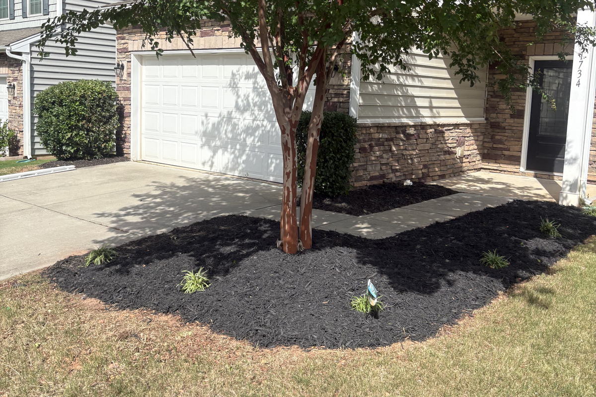 Planting beds after renovation, spade-cut edging, and fresh mulch