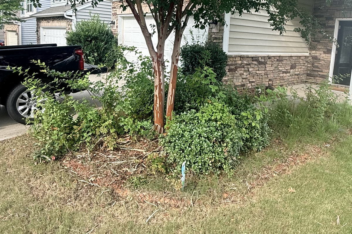 Planting beds in Fort Mill, SC before renovation