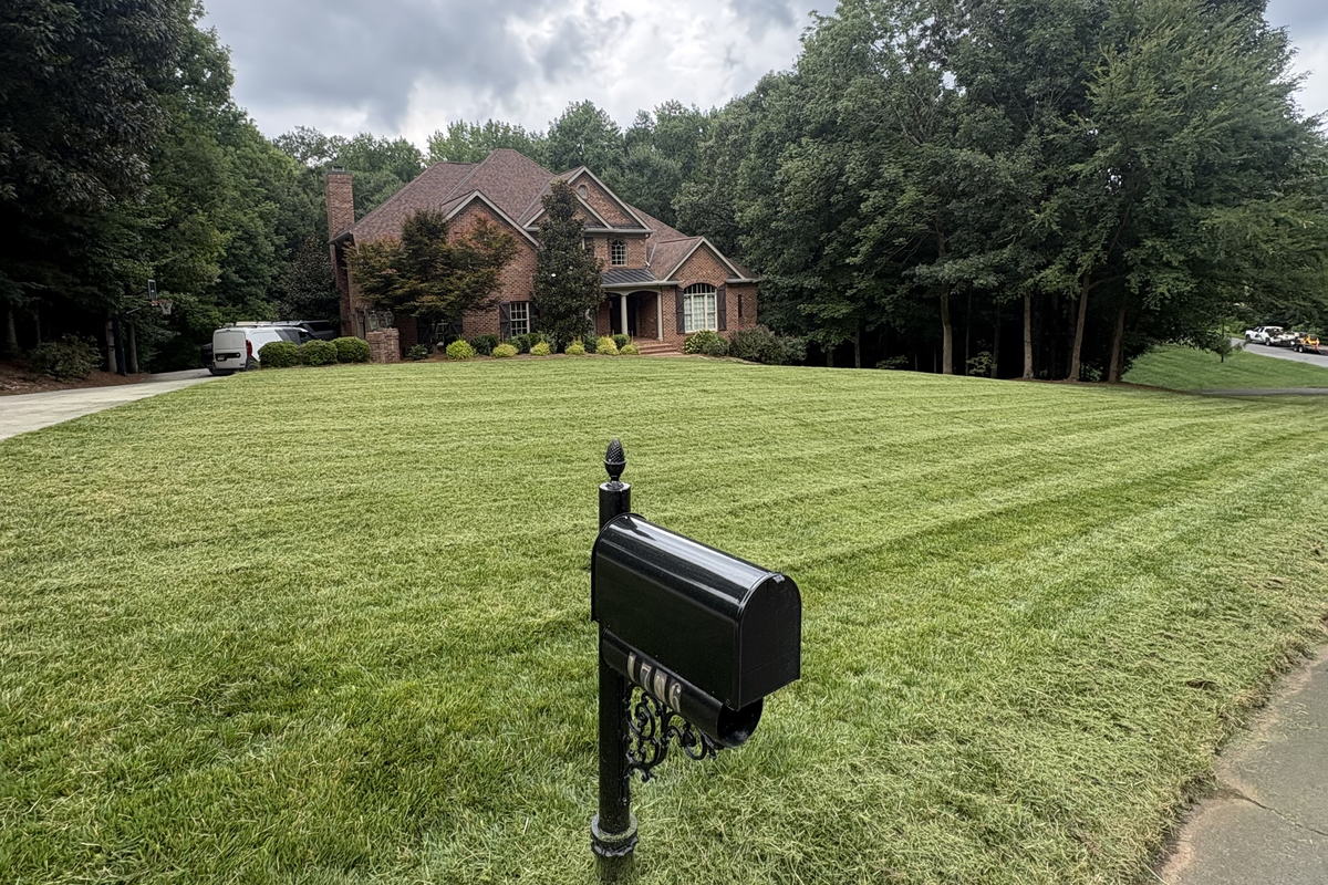 Lawn in Fort Mill, SC after mowing, edging, and blowing clean