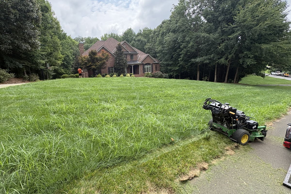 Lawn in Fort Mill, SC before scheduled maintenance service